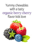Garden of Life Dr. Formulated Probiotics Organic Kids Shelf 30 Chewables